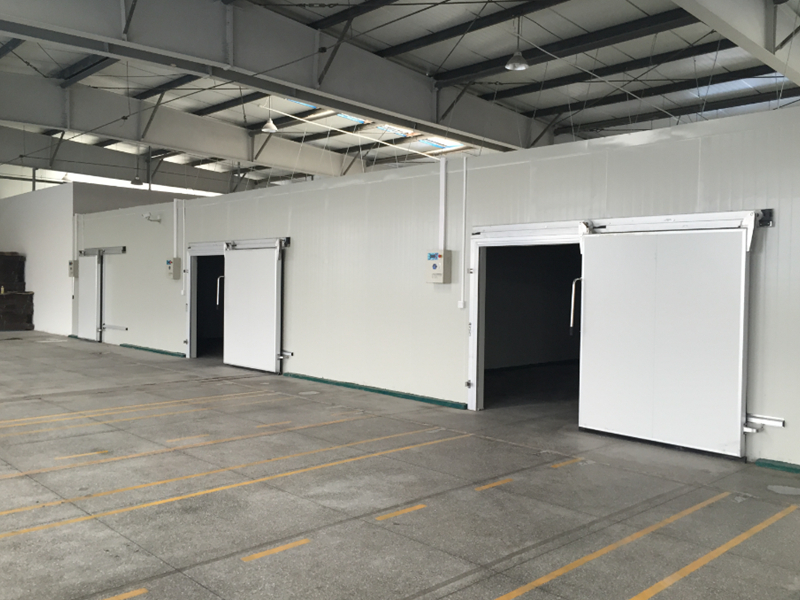 w88win优德·(中国)手机版官网